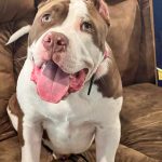 Chula 5 months old