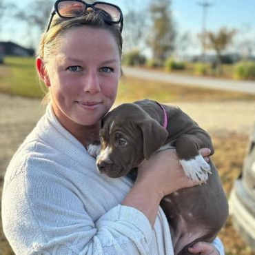 red nose pitbull puppies for sale in Oklahoma
