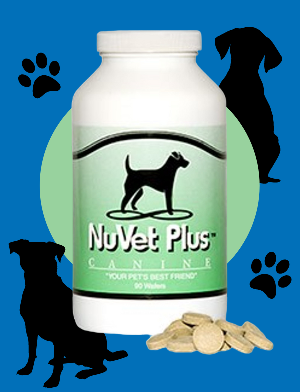 best joint supplements for dogs and puppies